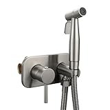 Tecmolog Bidet Handheld Sprayer Acero Inox Kit Ducha Bidet Agua fria y Caliente Monomando Empotrar para Bidé WC, WS024F9